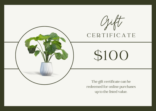 Rooted Croft Gift Card