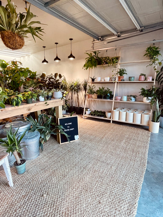 Plant Studio Appointment